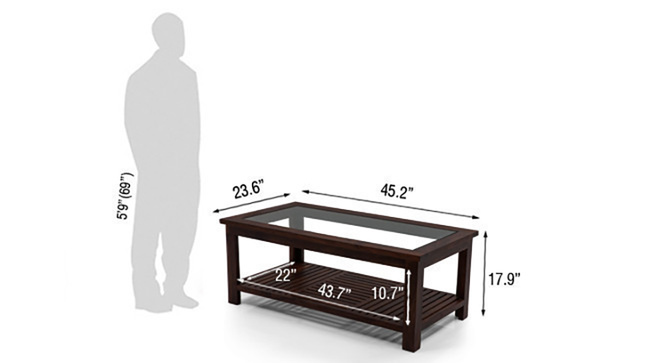 Transparent Coffee Table(Mahogany)